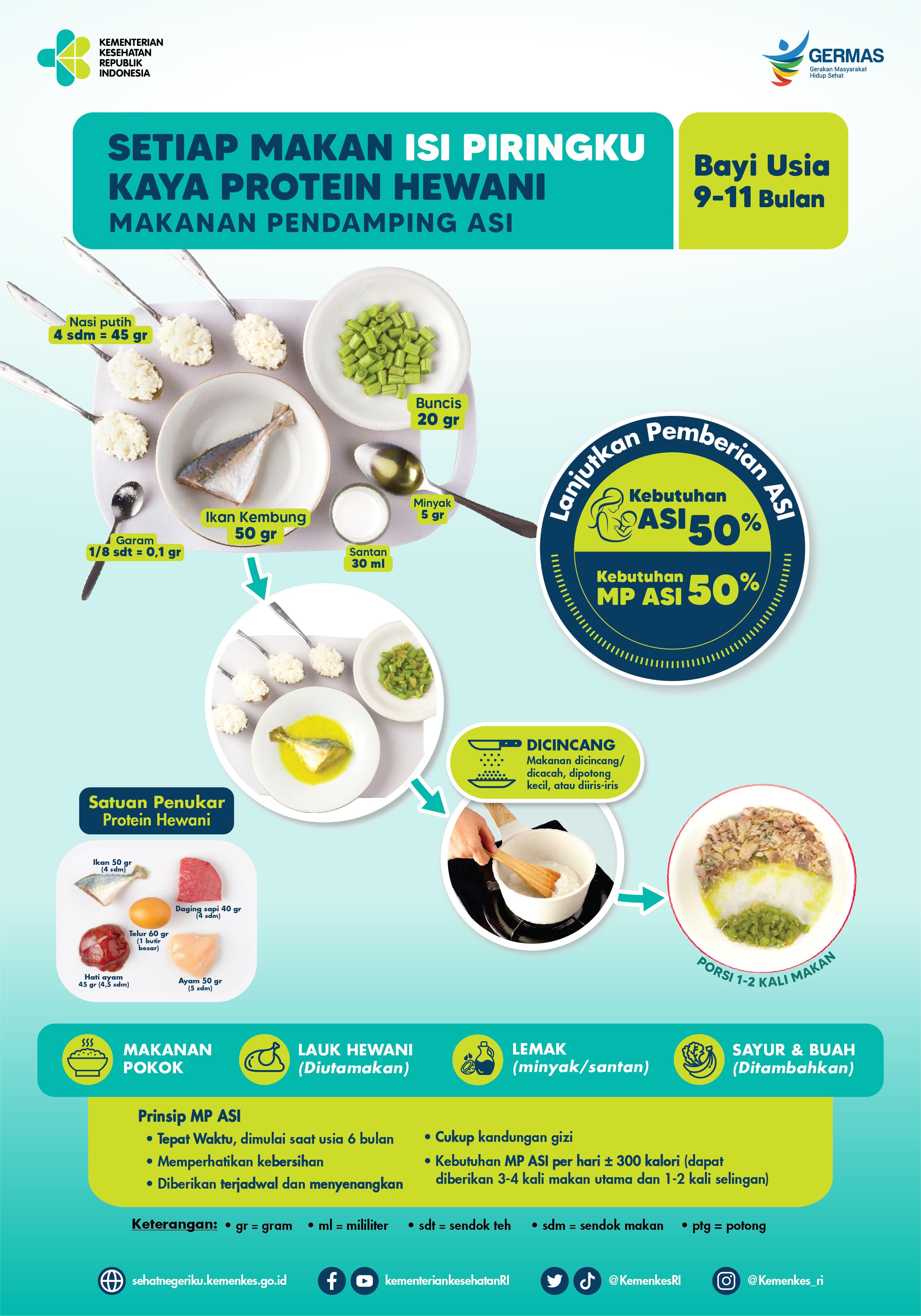 Bayi Balita Umur 9-11 bulan